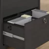 Bush Furniture Salinas Vintage Black 2-Drawer File Cabinet