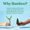 Caboo Tree Free Bamboo Toilet Paper, Septic Safe, Biodegradable, Eco Friendly Bath Tissue with Soft, Quick Dissolving 2 Ply Sheets (300 Sheets Per Roll, 24 Double Rolls) Caboo Tree Free Bamboo Toilet Paper, Septic Safe, Biodegradable, Eco Friendly Bath Tissue with Soft, Quick Dissolving 2 Ply Sheets (300 Sheets Per Roll, 24 Double Rolls)