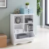 Danya B. BQ063 Wood 5-Tier Decorative (26.5-in W x 15.625-in D x 34.625-in H)