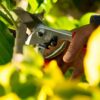 Felco Pruning Shears (F 13) - High Performance Swiss Made One-Hand or Two-Hand Garden Pruner with Steel Blade