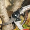 Felco Pruning Shears (F 13) - High Performance Swiss Made One-Hand or Two-Hand Garden Pruner with Steel Blade