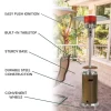 Hanover 48000-BTU Bronze/Stainless Steel Floorstanding Liquid Propane Patio Heater (HAN002BRSS) Hanover 48000-BTU Bronze/Stainless Steel Floorstanding Liquid Propane Patio Heater (HAN002BRSS)
