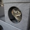 Kitty City Gray Polyester Rectangular in Cat Bed (For Medium)