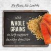 Merrick Backcountry Raw Infused Grain Free & with Healthy Grains Dry Dog Food - Pacific Catch Recipe - 4LB