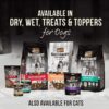 Merrick Backcountry Raw Infused Grain Free & with Healthy Grains Dry Dog Food - Pacific Catch Recipe - 4LB