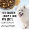Merrick Backcountry Raw Infused Grain Free & with Healthy Grains Dry Dog Food - Pacific Catch Recipe - 4LB