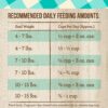 Merrick Purrfect Bistro Grain Free & Healthy Grains Dry Cat Food - Real Salmon & Sweet Potato Recipe - 12LB