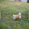 MidWest Wire Dog Exercise Pen with Step-Thru Door, Black E-Coat, 48-in