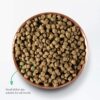 Open Farm Ancient Grains Dry Dog Food, Humanely Raised Meat Recipe with Wholesome Grains and No Artificial Flavors or Preservatives 22 Pound (Pack of 1)