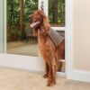 PetSafe PPA11-13141 1-Piece Sliding Glass Pet Door
