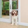 PetSafe PPA11-16640 1-Piece Sliding Glass Pet Door