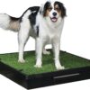 PetSafe Pet Loo Portable Indoor & Outdoor Dog Potty, Large