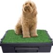 PetSafe Pet Loo Portable Indoor & Outdoor Dog Potty, Medium