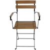 Sunnydaze Decor DMR-738 2 Black Metal Frame Stationary Dining Chair(s) with Slat Seat