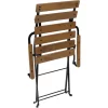 Sunnydaze Decor DMR-738 2 Black Metal Frame Stationary Dining Chair(s) with Slat Seat