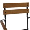 Sunnydaze Decor DMR-738 2 Black Metal Frame Stationary Dining Chair(s) with Slat Seat
