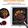 Techwood Hot Plate Electric Stove Single Burner Countertop Infrared Ceramic Cooktop, 1500W Timer and Touch Control, Portable Compatible All Cookware, Ceramic Glass & Stainless Steel Easy to Clean