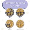 Weruva Bed & Breakfast with Chicken, Egg, Pumpkin & Ham in Gravy Grain-Free Canned Dog Food 14 Ounce (Pack of 12) Weruva Bed & Breakfast with Chicken, Egg, Pumpkin & Ham in Gravy Grain-Free Canned Dog Food 14 Ounce (Pack of 12)