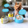 Weruva Cirque De La Mer with Tuna & Veggies in Pumpkin Soup Grain-Free Canned Dog Food 5.5 Ounce (Pack of 24) Weruva Cirque De La Mer with Tuna & Veggies in Pumpkin Soup Grain-Free Canned Dog Food 5.5 Ounce (Pack of 24)
