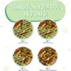 Weruva Cirque De La Mer with Tuna & Veggies in Pumpkin Soup Grain-Free Canned Dog Food 5.5 Ounce (Pack of 24) Weruva Cirque De La Mer with Tuna & Veggies in Pumpkin Soup Grain-Free Canned Dog Food 5.5 Ounce (Pack of 24)