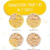Weruva Grain-Free Natural Canned Wet Cat Food, Classic Recipes