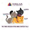 Weruva Grain-Free Natural Canned Wet Cat Food, Classic Recipes