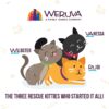 Weruva Grain-Free Natural Canned Wet Cat Food, Classic Recipes