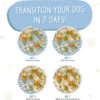 Weruva Grandma's Chicken Soup with Chicken & Veggies Grain-Free Canned Dog Food 5.5 Ounce (Pack of 24) Weruva Grandma's Chicken Soup with Chicken & Veggies Grain-Free Canned Dog Food 5.5 Ounce (Pack of 24)