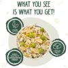 Weruva Green Eggs & Chicken with Chicken Egg & Greens in Gravy Grain-Free Canned Dog Food 14 Ounce (Pack of 12) Weruva Green Eggs & Chicken with Chicken Egg & Greens in Gravy Grain-Free Canned Dog Food 14 Ounce (Pack of 12)
