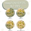 Weruva Green Eggs & Chicken with Chicken Egg & Greens in Gravy Grain-Free Canned Dog Food 5.5 Ounce (Pack of 24) Weruva Green Eggs & Chicken with Chicken Egg & Greens in Gravy Grain-Free Canned Dog Food 5.5 Ounce (Pack of 24)