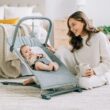 Baby Delight Alpine Deluxe Portable Bouncer, Infant, 0 – 6 months, Charcoal Tweed