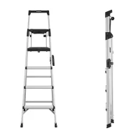 Energy bear telescoping deals ladder