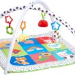 Early Learning Centre Blossom Farm Playmat & Arch, Physical Development, Hand Eye Coordination, Stimulates Senses, Baby Toys 0+ Months, by Just Play