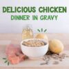 Earthborn Holistic Chicken Catcciatori Grain Free Canned Cat Food 3-oz, case of 24