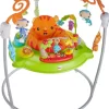 Fisher-Price Tiger Time Jumperoo with Music, Lights & Sounds