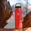 Hydro Flask 40oz Wide Mouth Bottle (Laguna)