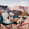 Kelty Loveseat Double Outdoor Camp Chair, 2-Person Camping, Festival, Concert Seat, Deep Lake / Fallen Rock