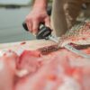Old Timer Lithium-Ion Electric Fillet Knife
