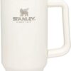 Stanley Adventure Reusable Vacuum Quencher Tumbler with Straw, Leak Resistant Lid, Insulated Cup, Maintains Cold, Heat, and Ice for Hours, Cream (10-02664-051)