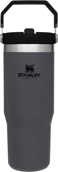 Stanley Iceflow Flip Straw 30 oz Tumbler (Raspberry) –