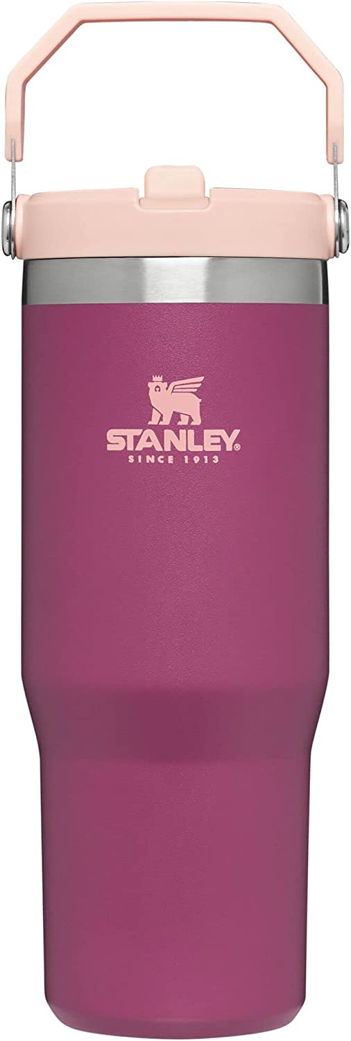 Stanley 30 Oz. IceFlow Flip Straw Tumbler - Stanley Tumbler - Stylish Stanley  Tumbler - Pink Barbie Citron Dye Tie