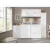 Estate ESBDD24SW 23.75-in W x 34.5-in H Wood Composite White Wall-mount Utility Storage Cabinet