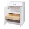 Estate ESBDD24SW 23.75-in W x 34.5-in H Wood Composite White Wall-mount Utility Storage Cabinet