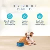 Blue Buffalo Basics Skin & Stomach Care Turkey & Potato Recipe Puppy Dry Dog Food - 24-lb bag