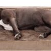 FurHaven Plush & Velvet Orthopedic Comfy Couch Dog & Cat Bed (Large)