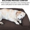 FurHaven Quilted Orthopedic Sofa Cat & Dog Bed w Removable Cover, Coffee, Medium.