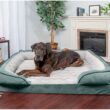 FurHaven Velvet Waves Perfect Comfort Orthopedic Sofa Cat & Dog Bed, Celadon Green, Jumbo Plus