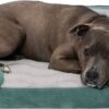 FurHaven Velvet Waves Perfect Comfort Orthopedic Sofa Cat & Dog Bed, Celadon Green, Large