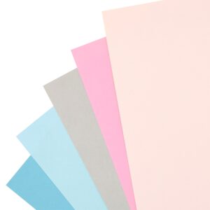 Recollections 12 Packs 50 ct. (600 total) Dreamy 8.5 x 11 Cardstock Paper