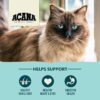 ACANA Bountiful Catch High-Protein Adult Dry Cat Food